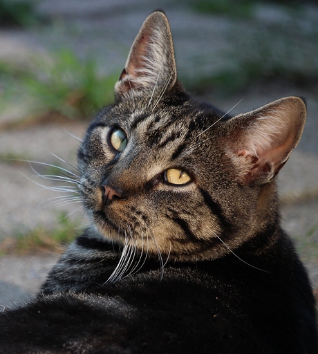 Ce regard...