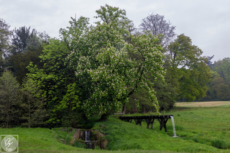 Oosterbeek