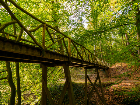 De brug