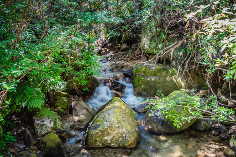 Wainui track