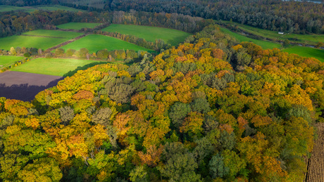 Herfstbeelden