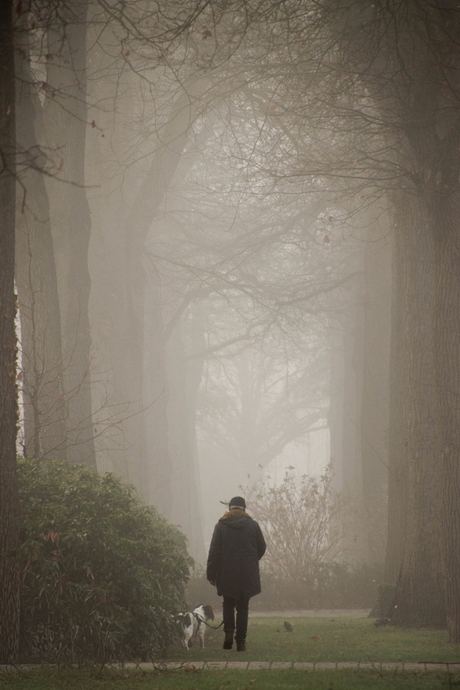 Ochtendwandeling met de hond