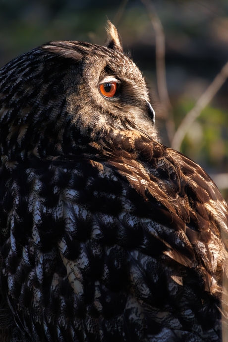 Met het gezicht in de zon