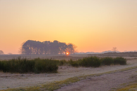 Zonsopkomst op de heide