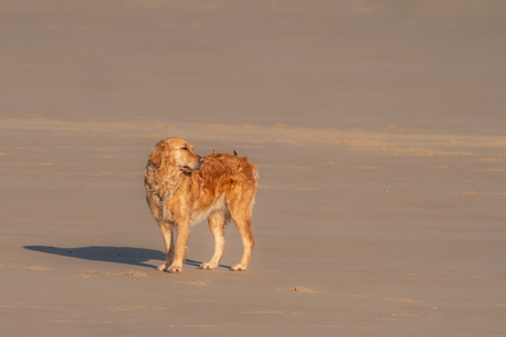 Waar blijven ze nou...