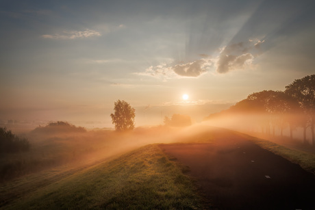 mistige  zonsopkomst
