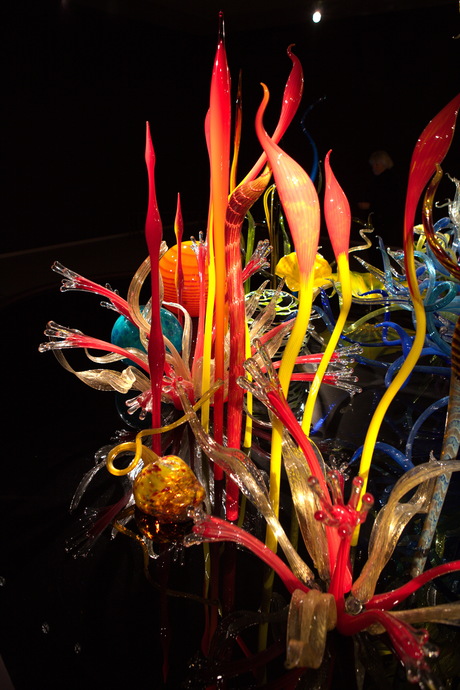 Dale Chihuly IV