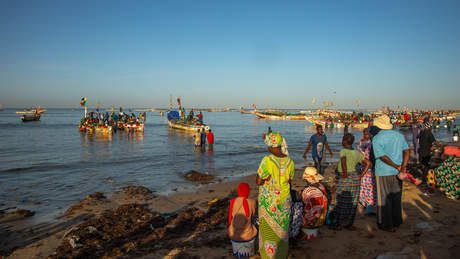 De vissers in senegal