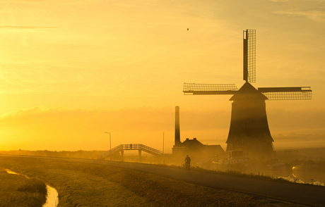 goud licht in de polder