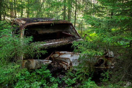 When nature takes over
