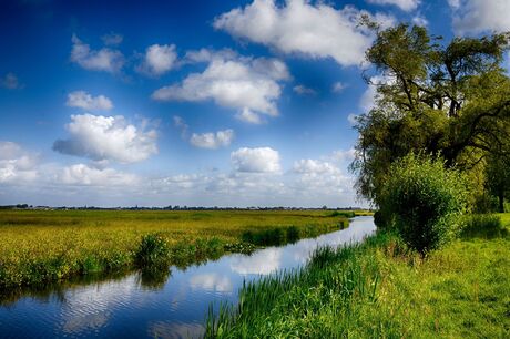 Hollands landschap