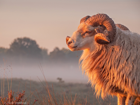 Genieten van de eerste zonnestralen