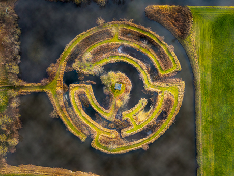 Het doolhof...