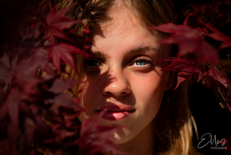 Oog in oog met de herfst 