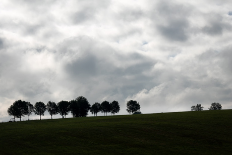 Bomen