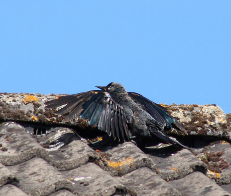 Even laten zien hoe groot ik ben