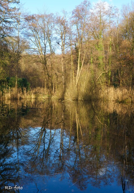 Spiegeling