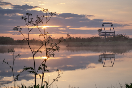 Goedemorgen!