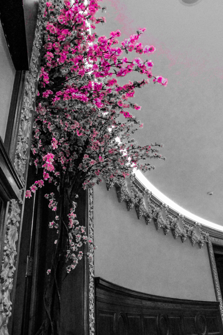 the pink tree 