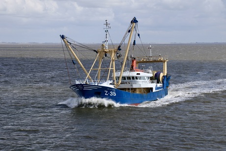 Viskotter Z35 
