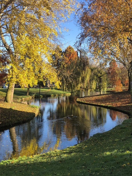 Heerlijke herfst ochtend 