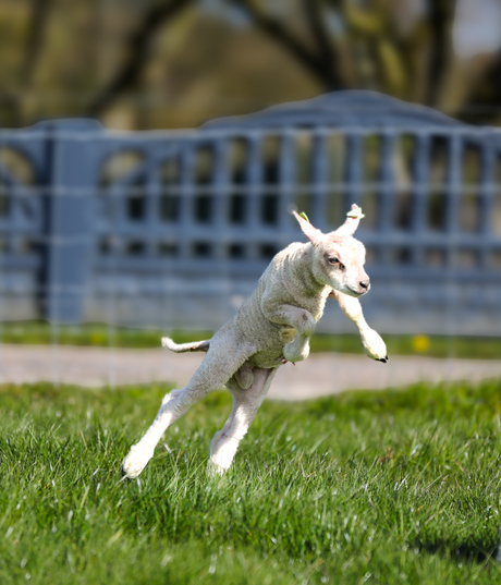 Spring is in the air!!!