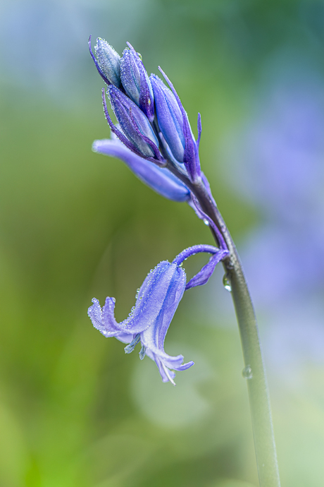 In de vroege ochtend.