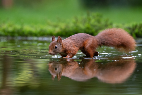 pootje baden