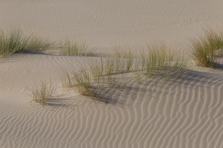 Sandlines
