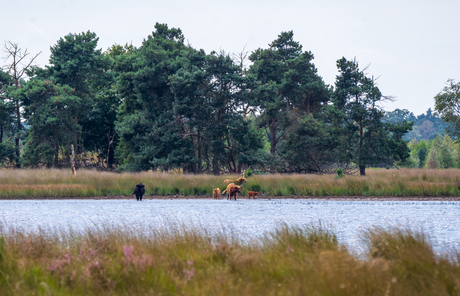 Familie in de Natuur