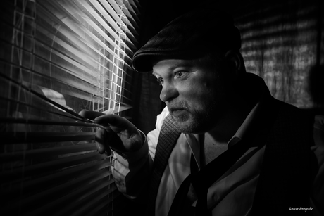 Private Investigator