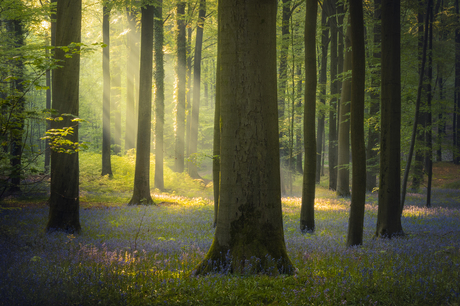 In to the spotlight…