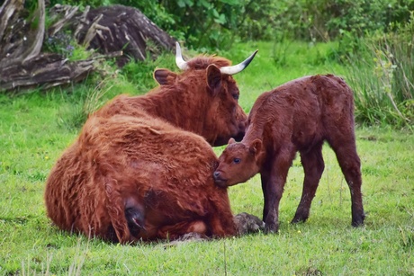 Zooo schattig!