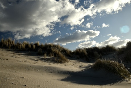 Duinen