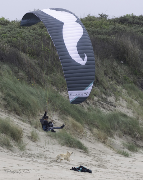 De hond en zijn baas