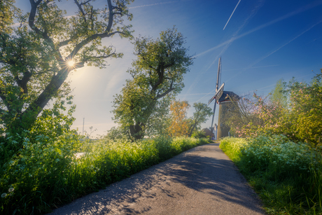 Lente in de Betuwe