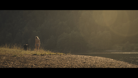 Lakeside Summer