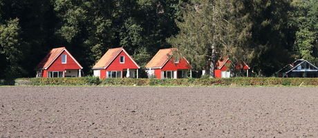 Loenen op de Veluwe.