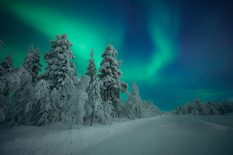 Dansend Noorderlicht