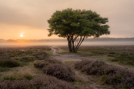 Tijd voor een wandeling
