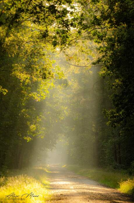 Light from above 