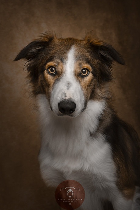 Portret van Loki