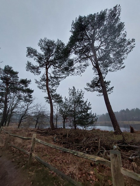 Natuur wandeling 