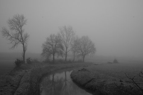 Slootje in de mist