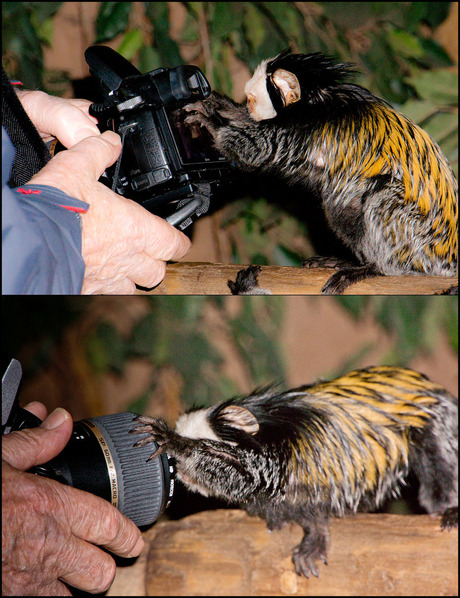 voorkant niks te zien...............................