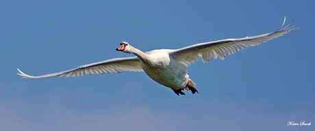 "Flying high..."