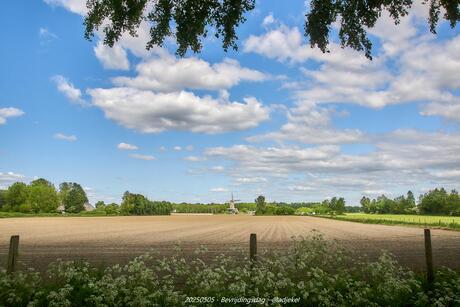 Voorjaars landscha[