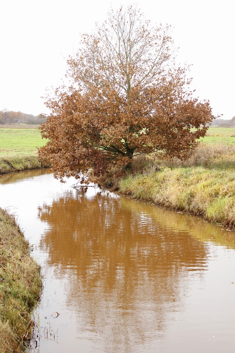 De reest rivier