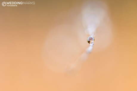 Macrofotografie waterdruppel