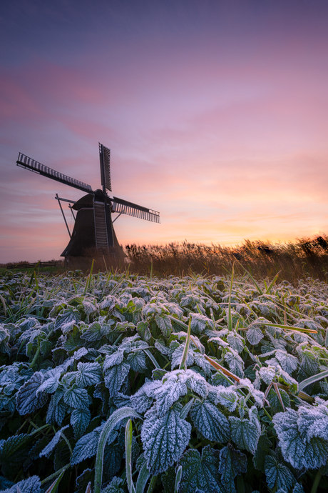Winterse molen I